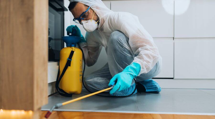 Professional 24 hour pest control services in Eugene